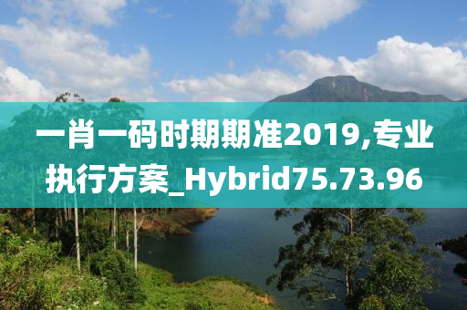 一肖一码时期期准2019,专业执行方案_Hybrid75.73.96