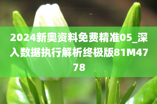 2024新奥资料免费精准05_深入数据执行解析终极版81M4778