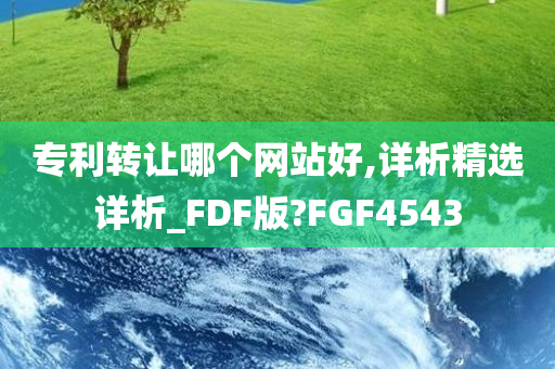 专利转让哪个网站好,详析精选详析_FDF版?FGF4543