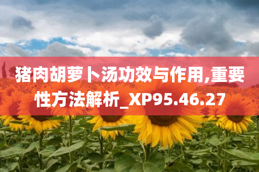 猪肉胡萝卜汤功效与作用,重要性方法解析_XP95.46.27