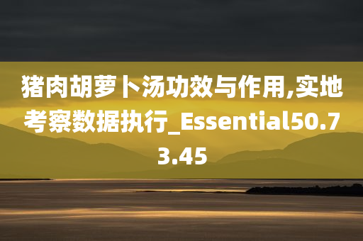 猪肉胡萝卜汤功效与作用,实地考察数据执行_Essential50.73.45