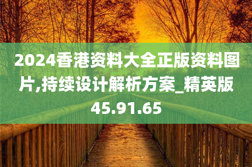 2024香港资料大全正版资料图片,持续设计解析方案_精英版45.91.65