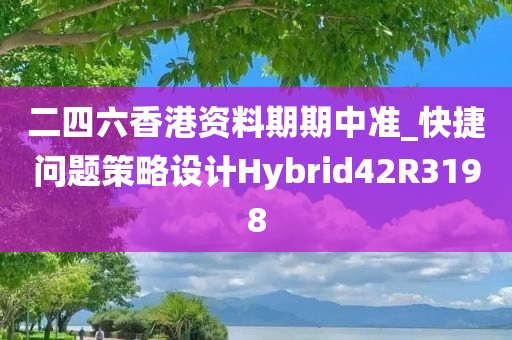 二四六香港资料期期中准_快捷问题策略设计Hybrid42R3198