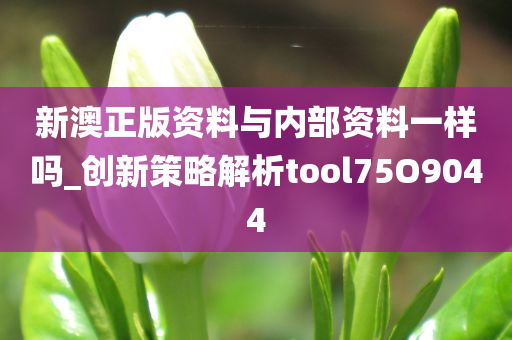 新澳正版资料与内部资料一样吗_创新策略解析tool75O9044