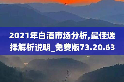 2021年白酒市场分析,最佳选择解析说明_免费版73.20.63