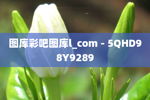 图库彩吧图库l_com - 5QHD98Y9289