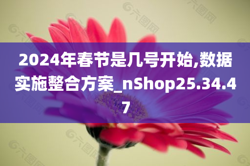 2024年春节是几号开始,数据实施整合方案_nShop25.34.47