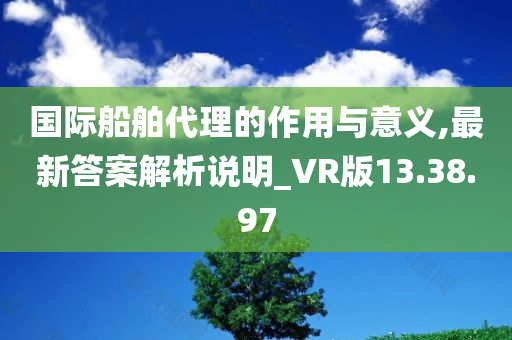 国际船舶代理的作用与意义,最新答案解析说明_VR版13.38.97