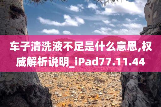 车子清洗液不足是什么意思,权威解析说明_iPad77.11.44