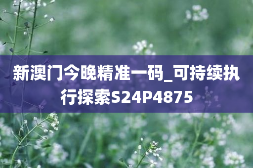 新澳门今晚精准一码_可持续执行探索S24P4875