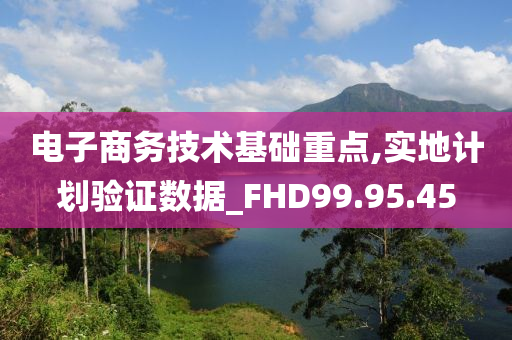 电子商务技术基础重点,实地计划验证数据_FHD99.95.45