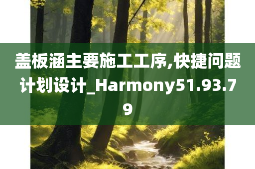 盖板涵主要施工工序,快捷问题计划设计_Harmony51.93.79