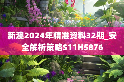 新澳2024年精准资料32期_安全解析策略S11H5876