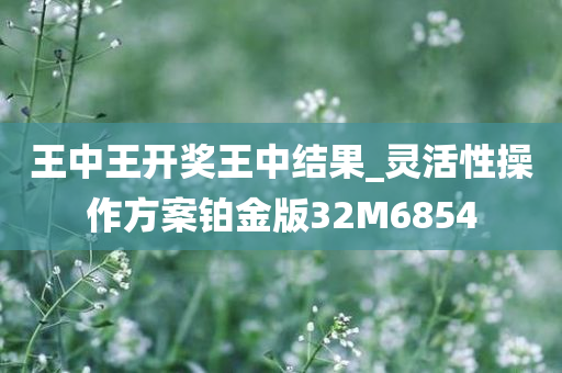 王中王开奖王中结果_灵活性操作方案铂金版32M6854