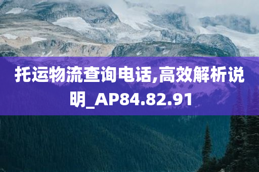 托运物流查询电话,高效解析说明_AP84.82.91