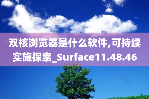 双核浏览器是什么软件,可持续实施探索_Surface11.48.46