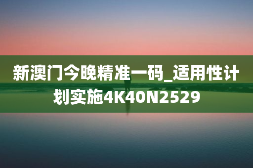 新澳门今晚精准一码_适用性计划实施4K40N2529