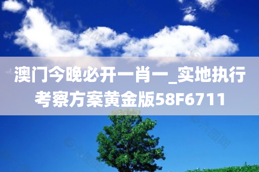 澳门今晚必开一肖一_实地执行考察方案黄金版58F6711