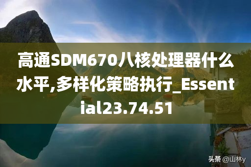 高通SDM670八核处理器什么水平,多样化策略执行_Essential23.74.51