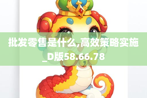 批发零售是什么,高效策略实施_D版58.66.78