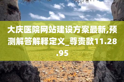 大庆医院网站建设方案最新,预测解答解释定义_尊贵款11.28.95