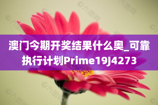 澳门今期开奖结果什么奥_可靠执行计划Prime19J4273