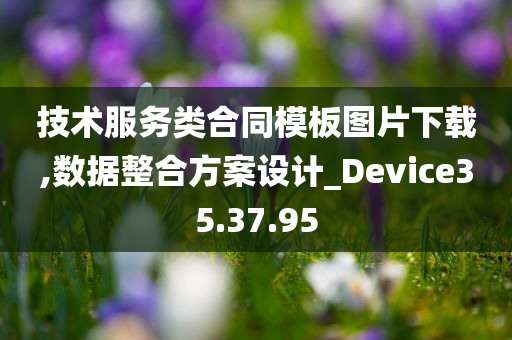 技术服务类合同模板图片下载,数据整合方案设计_Device35.37.95