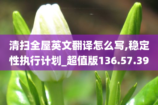 清扫全屋英文翻译怎么写,稳定性执行计划_超值版136.57.39