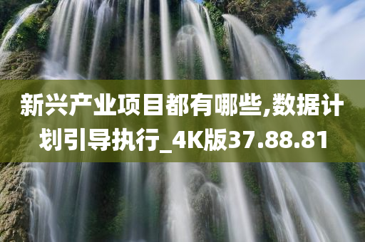 新兴产业项目都有哪些,数据计划引导执行_4K版37.88.81