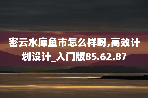 密云水库鱼市怎么样呀,高效计划设计_入门版85.62.87