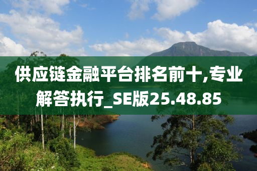 供应链金融平台排名前十,专业解答执行_SE版25.48.85