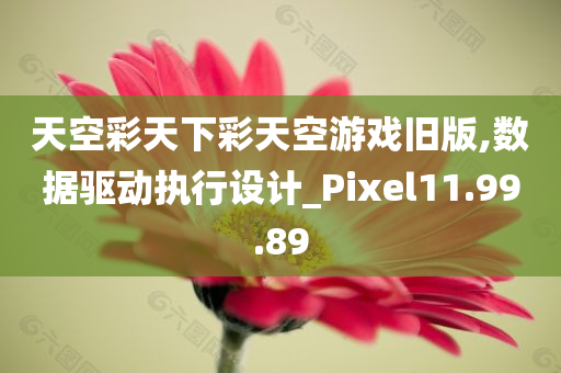 天空彩天下彩天空游戏旧版,数据驱动执行设计_Pixel11.99.89