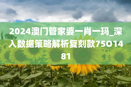 2024澳门管家婆一肖一玛_深入数据策略解析复刻款75O1481