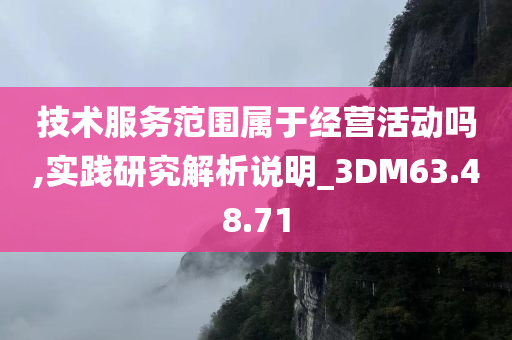 技术服务范围属于经营活动吗,实践研究解析说明_3DM63.48.71