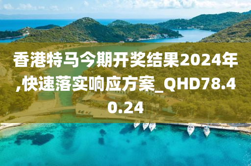 香港特马今期开奖结果2024年,快速落实响应方案_QHD78.40.24