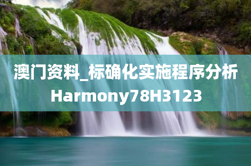 澳门资料_标确化实施程序分析Harmony78H3123