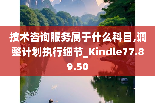 技术咨询服务属于什么科目,调整计划执行细节_Kindle77.89.50