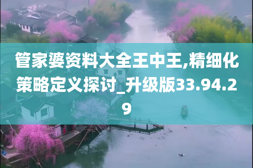 管家婆资料大全王中王,精细化策略定义探讨_升级版33.94.29