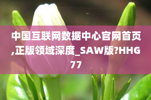 中国互联网数据中心官网首页,正版领域深度_SAW版?HHG77