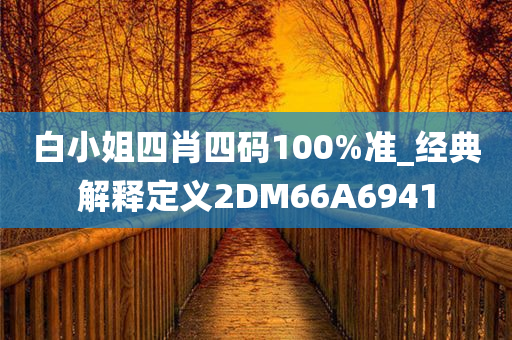 白小姐四肖四码100%准_经典解释定义2DM66A6941