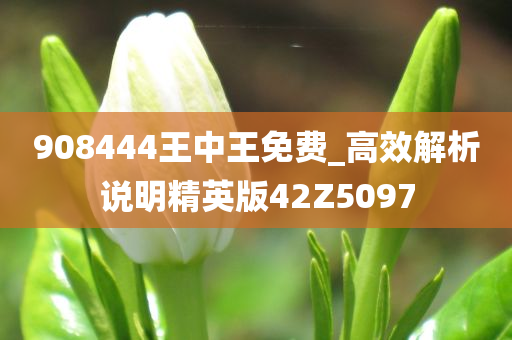 908444王中王免费_高效解析说明精英版42Z5097