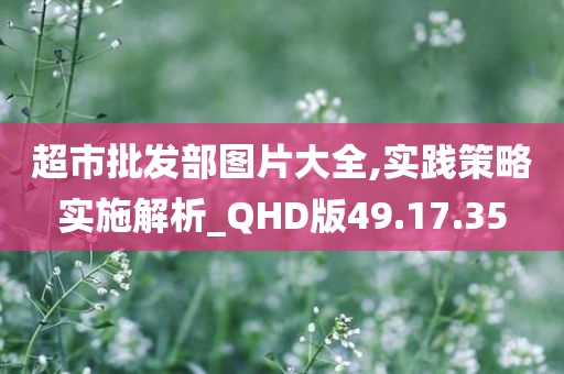 超市批发部图片大全,实践策略实施解析_QHD版49.17.35