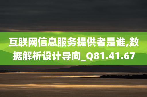 互联网信息服务提供者是谁,数据解析设计导向_Q81.41.67