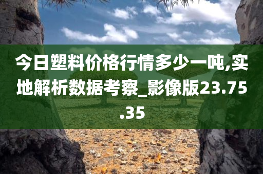 今日塑料价格行情多少一吨,实地解析数据考察_影像版23.75.35