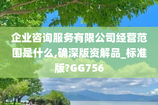 企业咨询服务有限公司经营范围是什么,确深版资解品_标准版?GG756