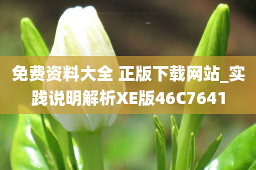 免费资料大全 正版下载网站_实践说明解析XE版46C7641