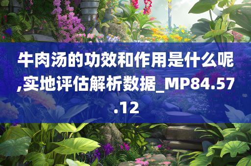 牛肉汤的功效和作用是什么呢,实地评估解析数据_MP84.57.12