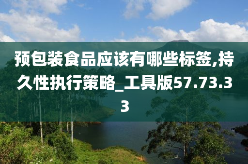 预包装食品应该有哪些标签,持久性执行策略_工具版57.73.33