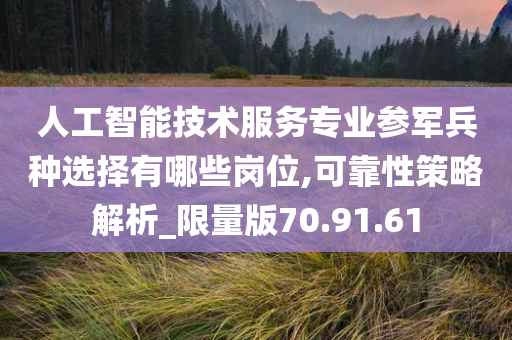 人工智能技术服务专业参军兵种选择有哪些岗位,可靠性策略解析_限量版70.91.61