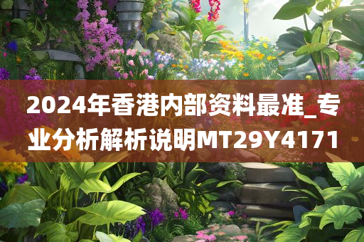 2024年香港内部资料最准_专业分析解析说明MT29Y4171